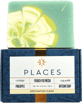 Pineapple Paradise Artisan Soap Bar PNG
