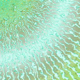 Vibrant Patterns of Coral Reef Beauty PNG