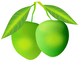 Mango Delight A Taste of Summer Freshness PNG