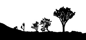 Silhouettes of Resilience The Desert Landscape PNG