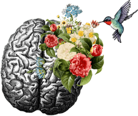 Coral Reef of Imagination Nature's Colorful Intelligence PNG