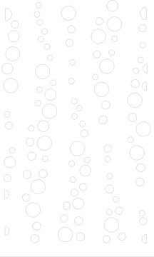 Nature Trail Journey Through Bubbles and Bliss PNG