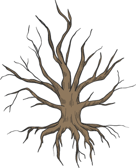 Ginger Root Nature's Spicy Wonder PNG