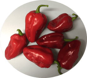 Casino Roulette A Bet on Flavor with Red Peppers PNG