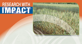 Grass Research Cultivating Sustainable Solutions PNG