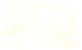 Whimsical Bokeh A Dance of Light and Color PNG