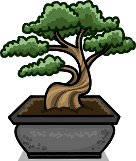 Majestic Bonsai Tree in a Serene Pot PNG