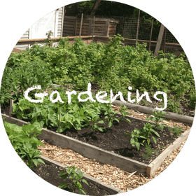 Lush Vegetable Garden A Green Thumb’s Paradise PNG