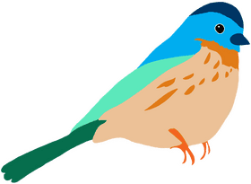 Colorful Songbird of Paradise PNG