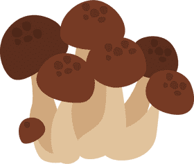 Delicious Creamy Mushroom Soup Delight PNG