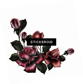 Elegant Dark Rose Flower Arrangement PNG