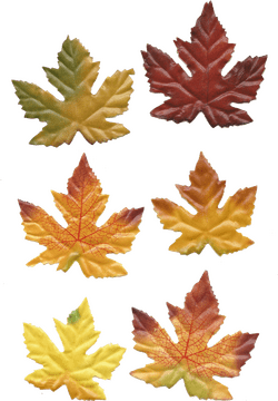 Autumn's Palette of Colorful Leaves PNG