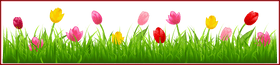 Colorful Tulips Among Vibrant Green Grass PNG