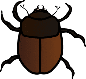 Majestic Insect of the Woodland Habitat PNG