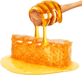 Sweet Delight Honey Jar and Comb Extravaganza PNG