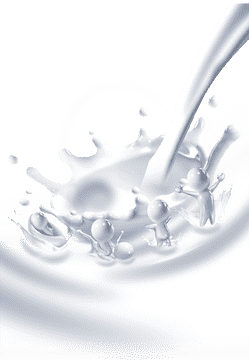 Refreshing Splash of Milk Carton Delight PNG