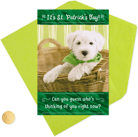 Playful Dog Celebrating St Patrick's Day PNG