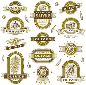 Premium Quality Olive Oil and Harvested Olives PNG