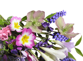 Colorful Spring Flower Bouquet PNG