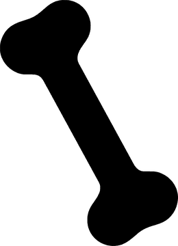 Essential Shapes of the Bone Structure PNG