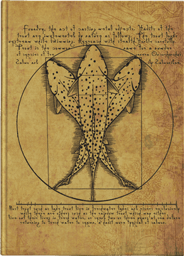 Fishing Chronicles The Art of Catching Wonders PNG