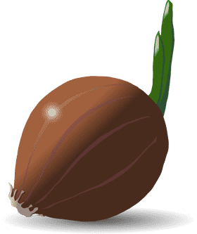 Deliciously Crunchy Onion Rings Delight PNG