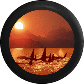 Family of Orcas Beneath the Sunset PNG