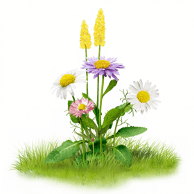 Vibrant Wildflowers on Lush Green Grass PNG