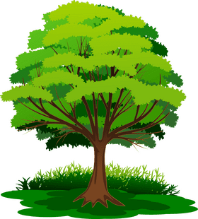 Lush Green Grass Under a Majestic Tree PNG