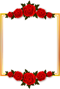 Elegant Rose Adorned Photo Frame PNG