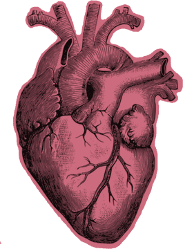 Heart's Intricate Pathways The Essence of Life PNG