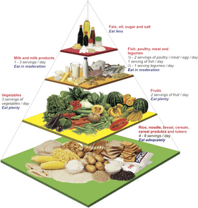 Food Pyramid A Guide to Balanced Nutrition PNG