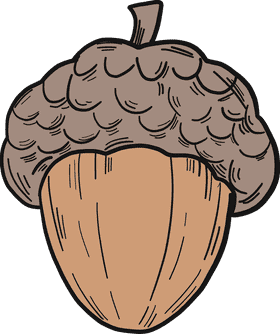 Whimsical Acorn Delight PNG