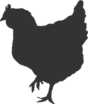 Cozy Chicken Coop Haven for Happy Hens PNG