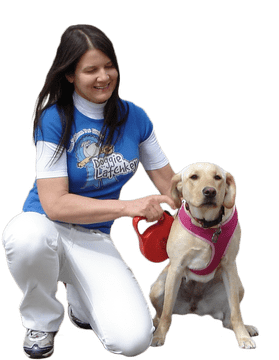 Stylish Pet Collar for Trendy Pets PNG