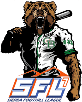 Granite Countertop Elegance and Durability PNG