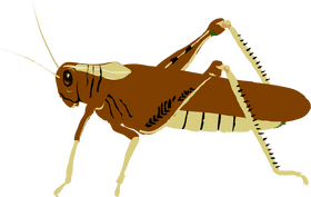 Insect of the Golden Fields PNG