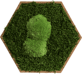 Whispers of the Enchanted Forest PNG