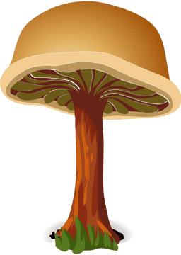 Mushroom Tree of Nature's Delight PNG
