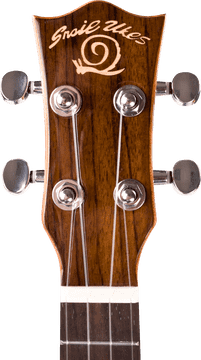 Snail Ukulele Melodies of Nature PNG