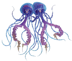 Whimsical Jellyfish Duo in Ocean Dance PNG