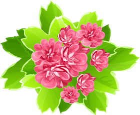Vibrant Pink Blossom Flower Bouquet PNG