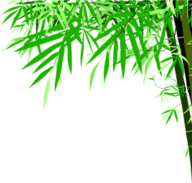 Whispers of the Bamboo Forest PNG