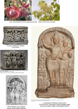 Buddha The Essence of Enlightenment and Harmony PNG