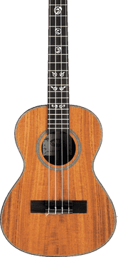 Melodic Strums of the Ukulele PNG
