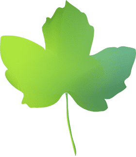 Radiant Green Leaf of Nature PNG