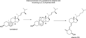 Vitamin D3 Biosynthesis and Interconversion Pathway PNG