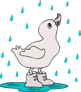 Quacky Delight Rain Boots for Puddly Adventures PNG
