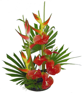 Vibrant Arrangement of Iris Flowers and Foliage PNG