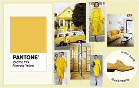 Sunny Style Chic Raincoat for Bright Days PNG